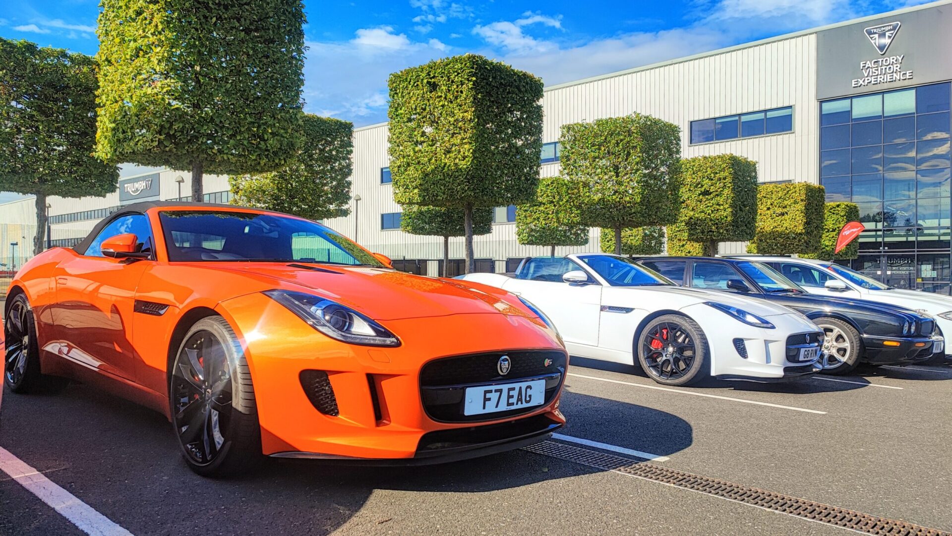 Triumph Visitor Experience – 30 August 2025